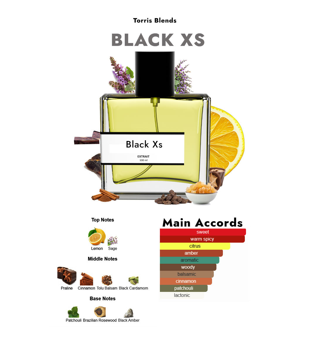 Black Xs | Compare with Paco rabanne black XS