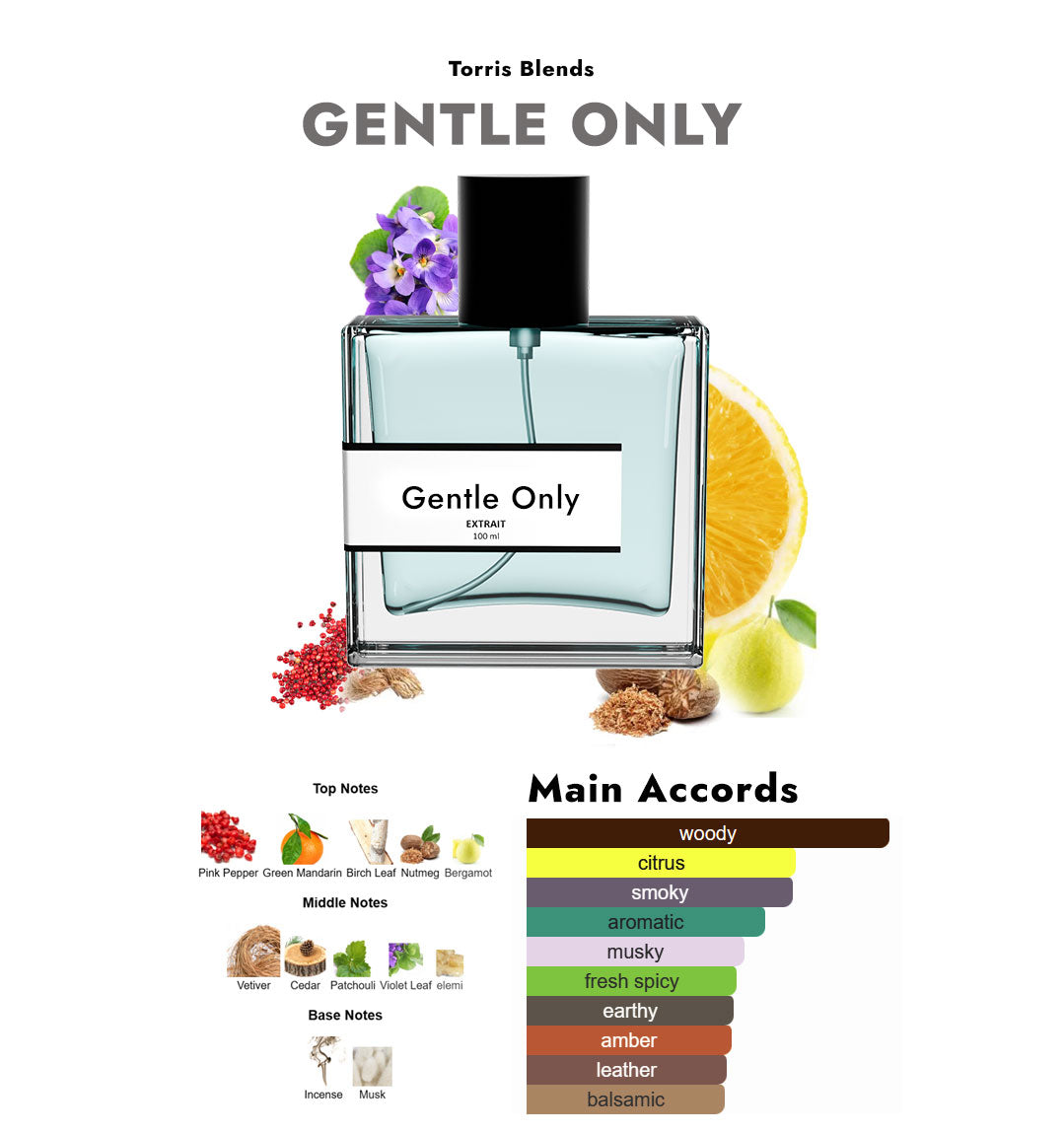 Gentle Only | Compare with Giv€nchy gentlemen only