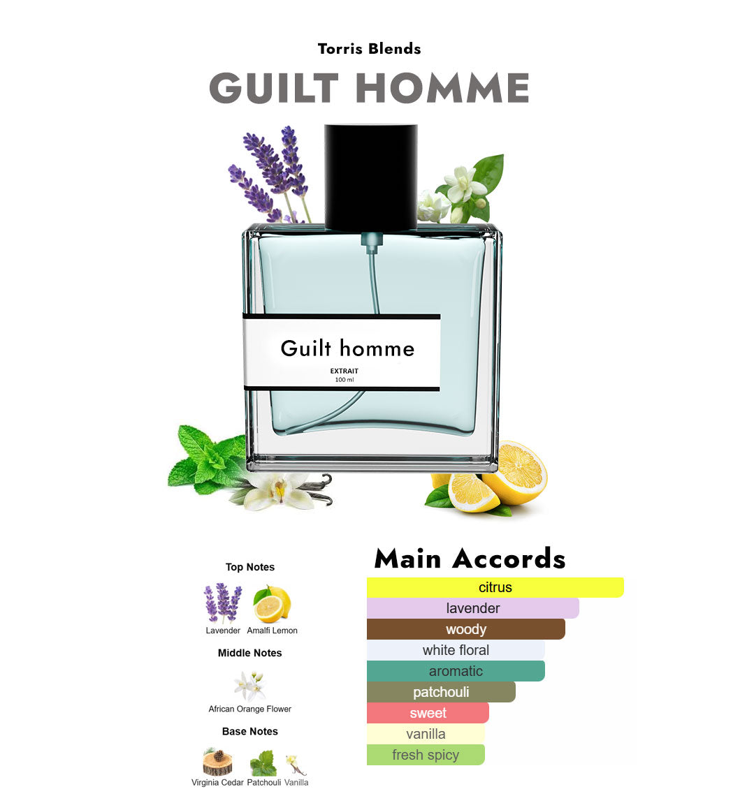 Guilt homme | Compare with Gucc! guilty pour homme