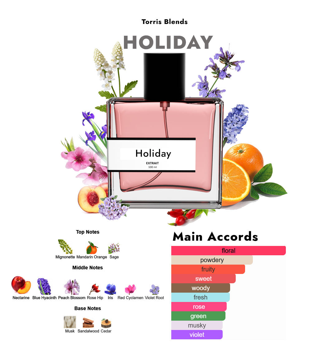 Holiday | Compare With Bu₹berry weekend