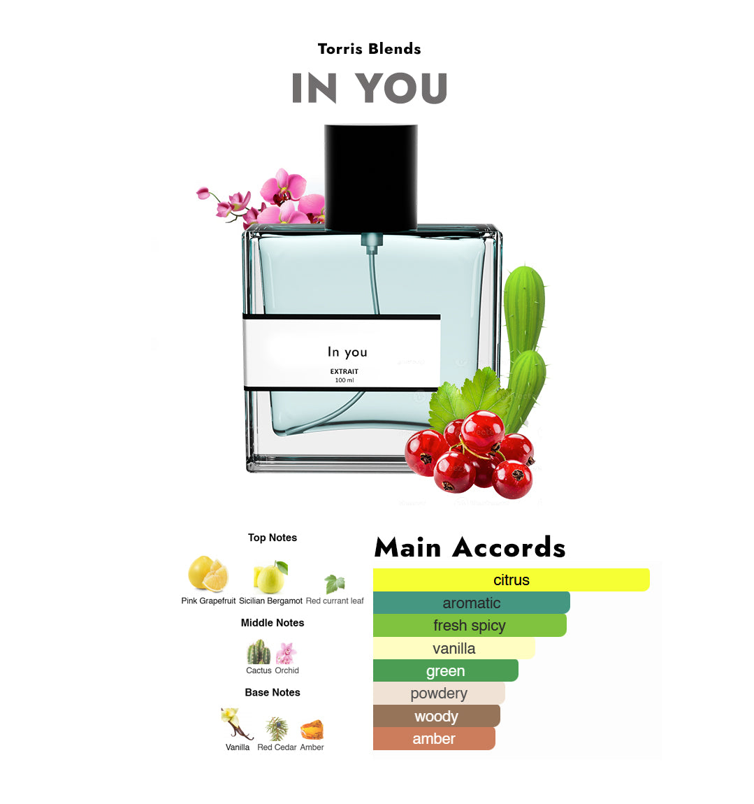 In You | Compare with C@lvin klein IN2U