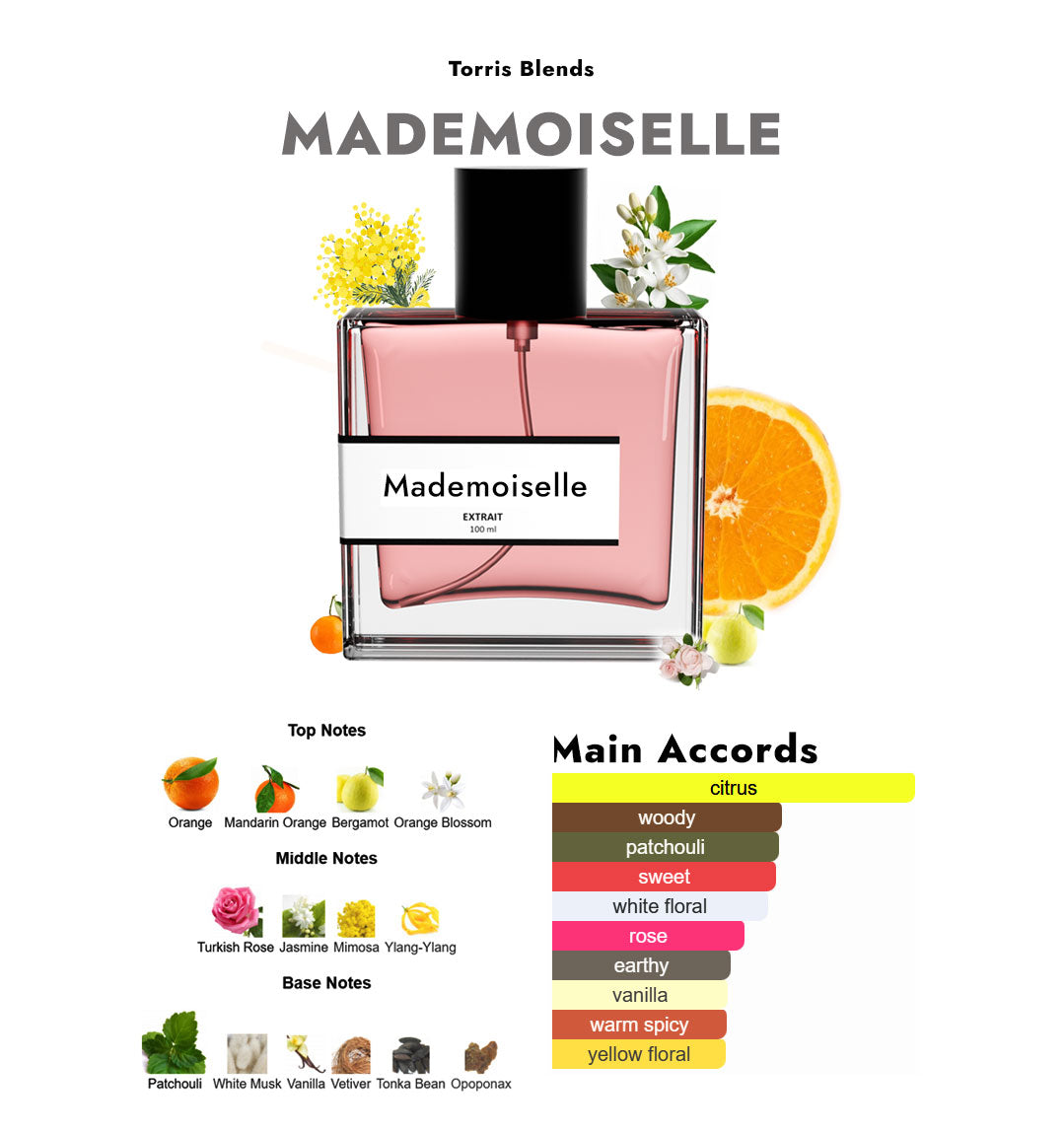 Mademoiselle | Compare with C0co chanel mademoiselle