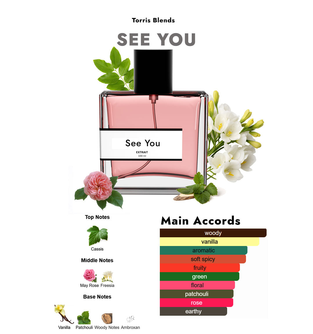 See You | Compare with Giorgi0 armani SI