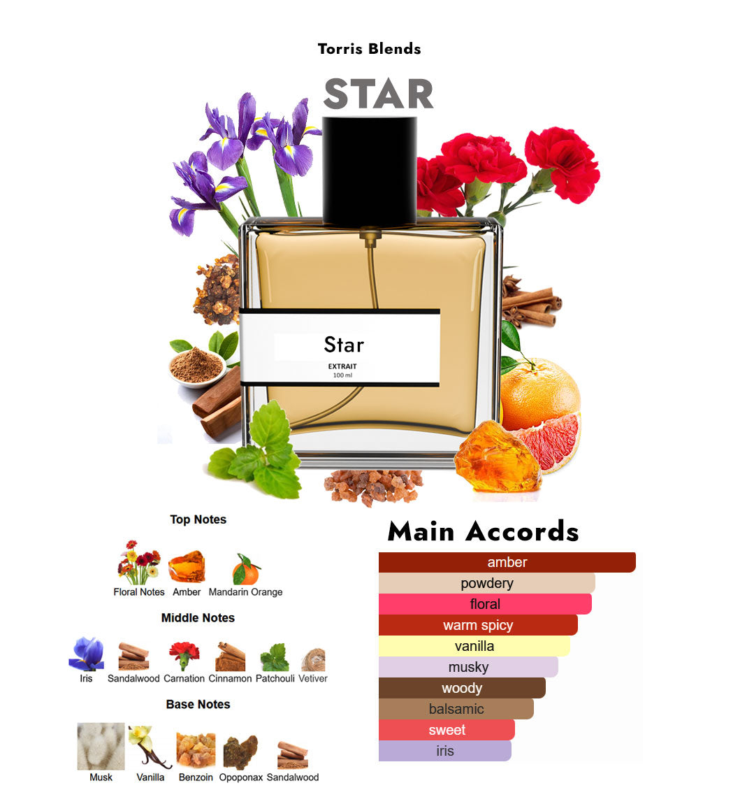 Star | Compare with Xerj0ff star musk