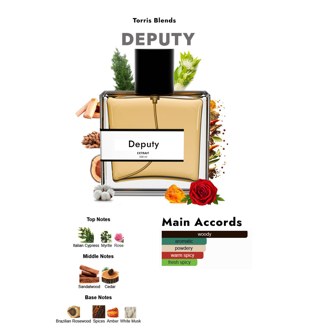 Deputy | Compare With Tam dao diptique