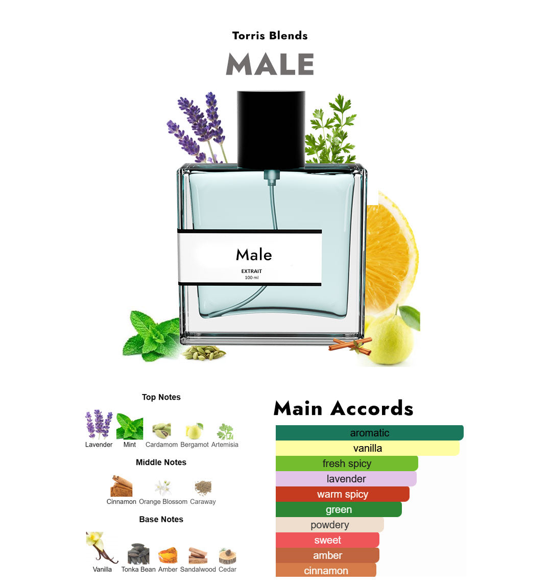 Male | Compare with Jean P@ul Gaultier Le Male