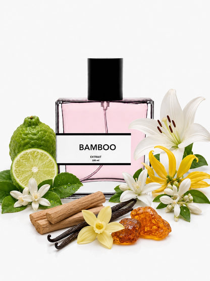 Bamboo | Compare with Gucc! Bamboo