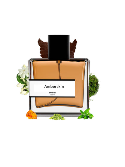 Amberskin | Compare With T0m f0rd ombre leather