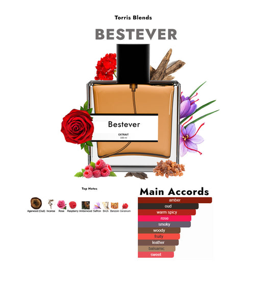 Bestever | Compare With Louis vuitton ombre nomade