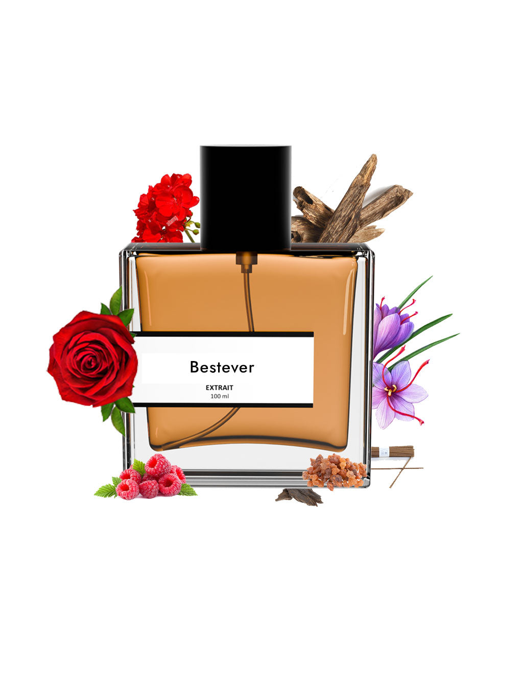 Bestever | Compare With Louis vuitton ombre nomade