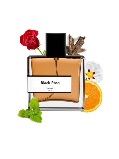 Black Rose | Compare with Montale black aoud
