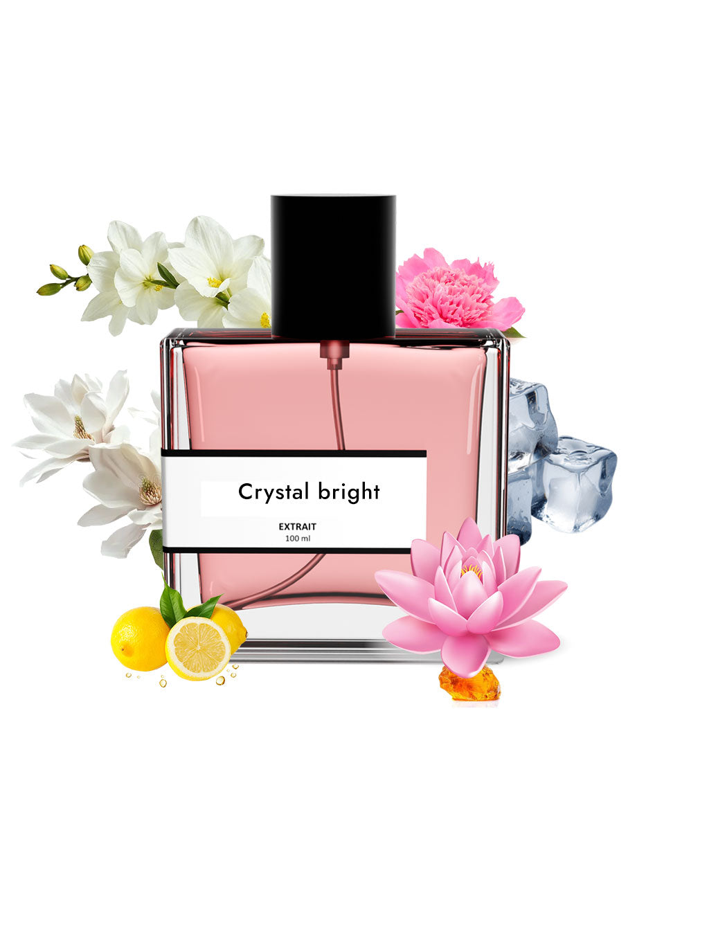 Crystal bright | Compare With Versace bright crystal