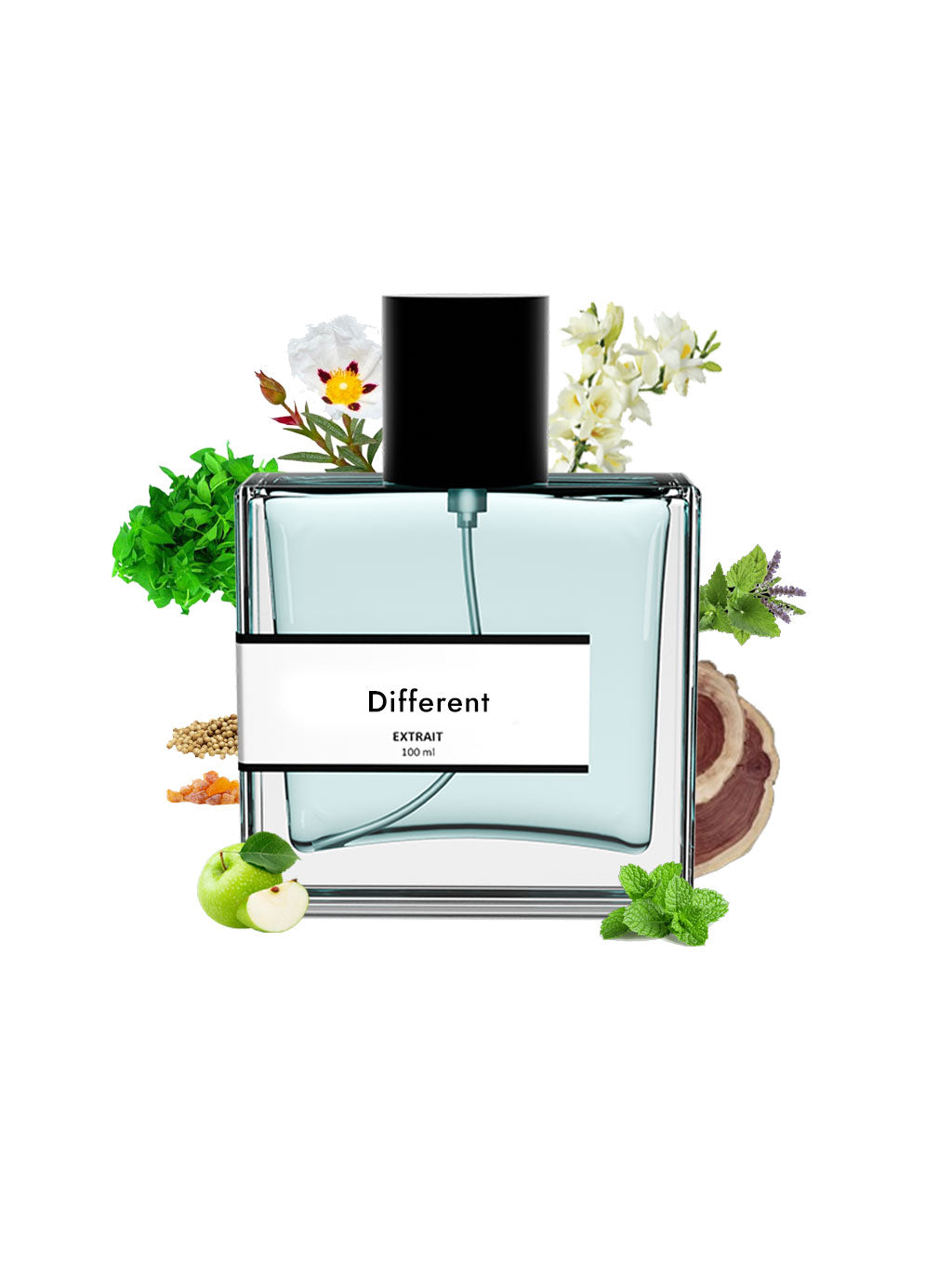 Different | Compare with Hugo Boss just different