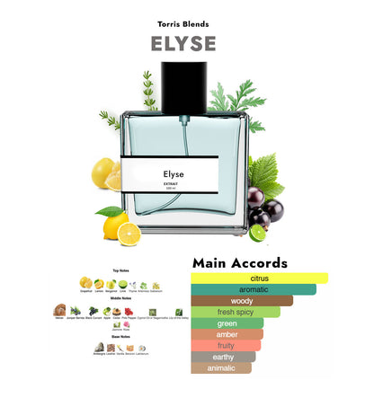 Elyse | Compare With Roja parfums elysium