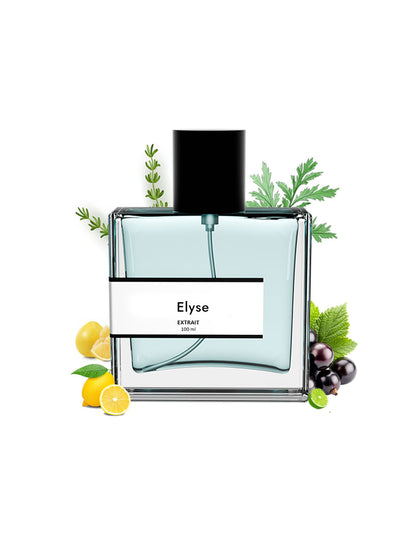 Elyse | Compare With Roja parfums elysium