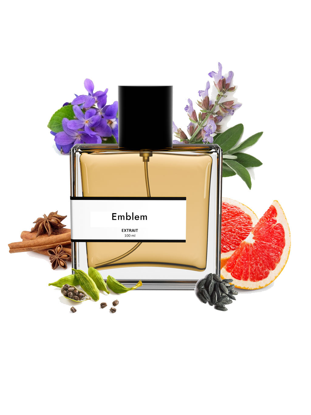 Emblem | Compare With M0nt bl@nc emblem