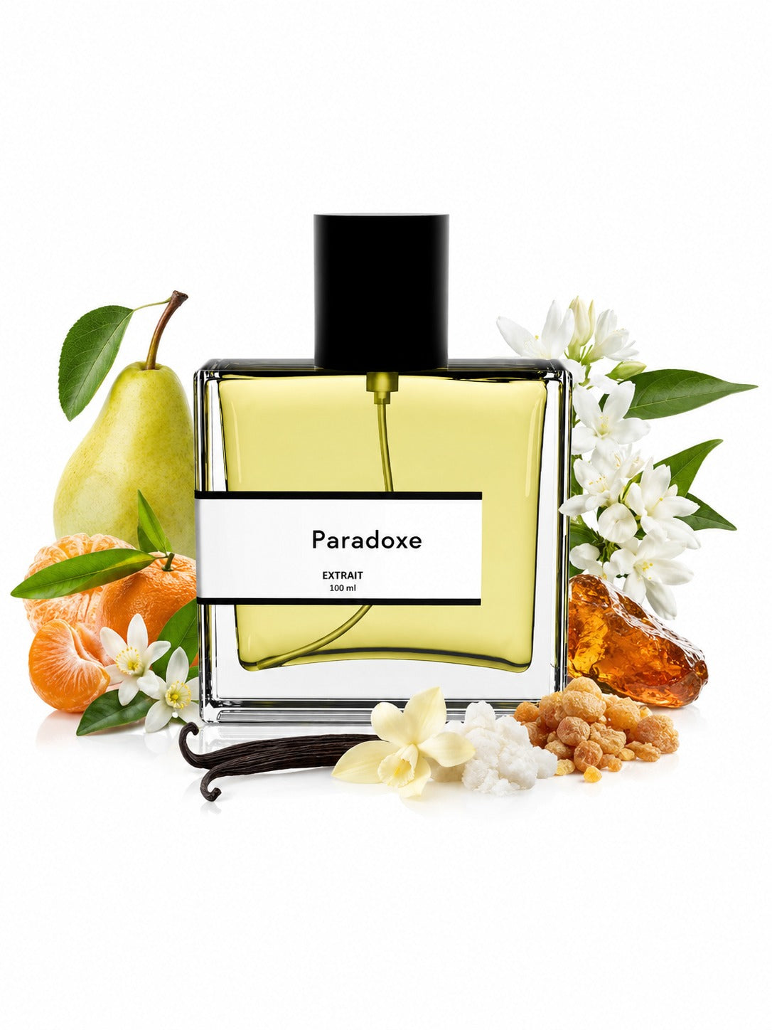 Paradoxe | Compare with Prad@ Paradoxe