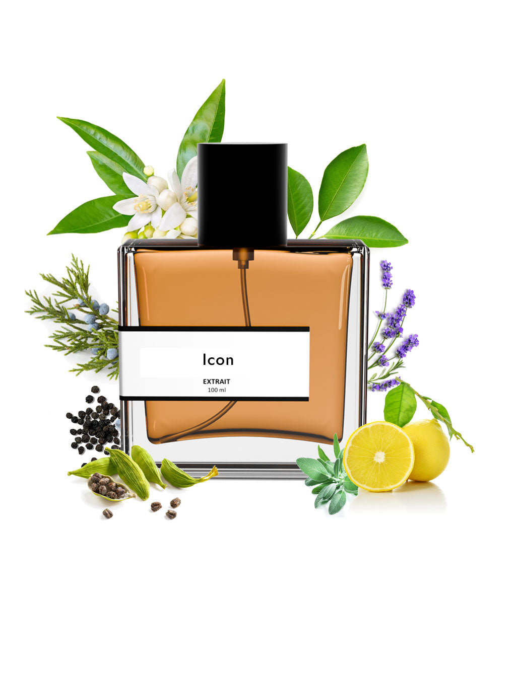 Icon | Compare With Dunhil£ icon