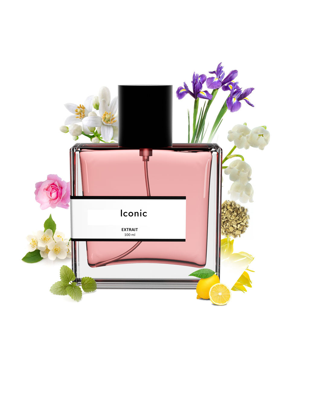 Iconic | Compare With Ch@nel no. 5