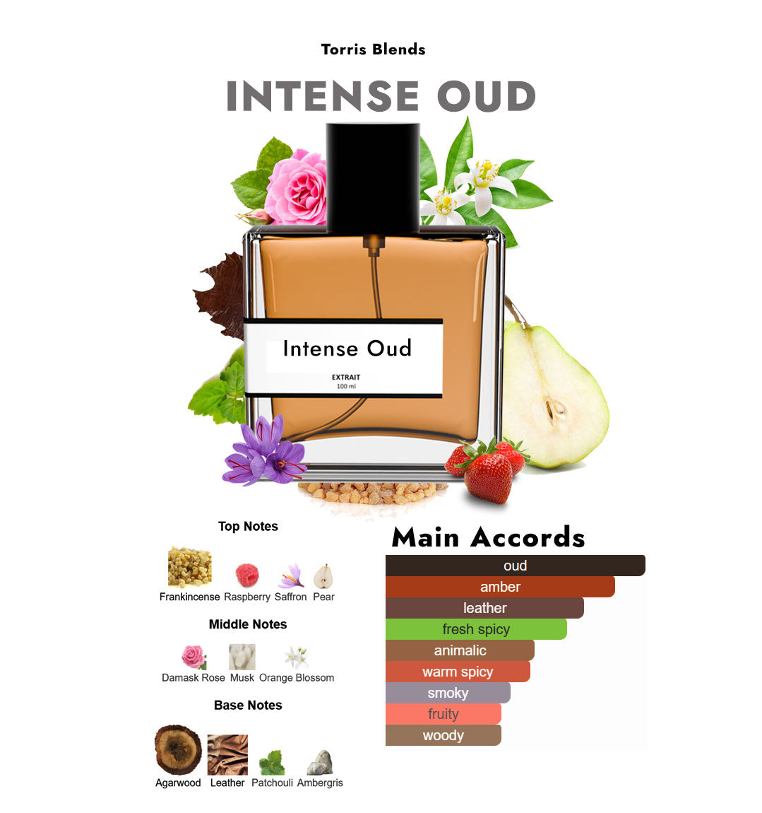 Intense Oud | Compare With Gucc! intense oud