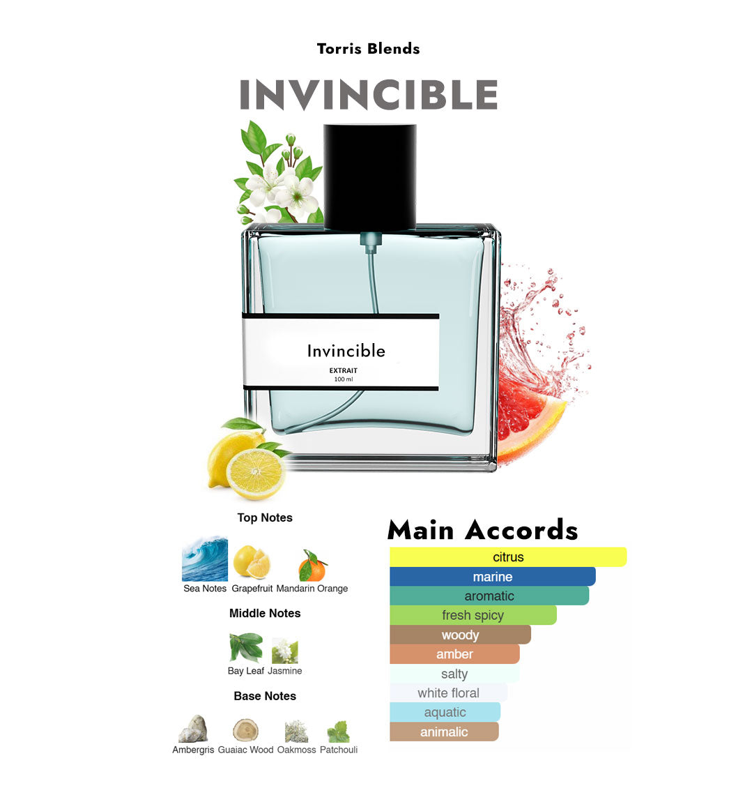Invincible | Compare With Pac0 rab@nne invictus