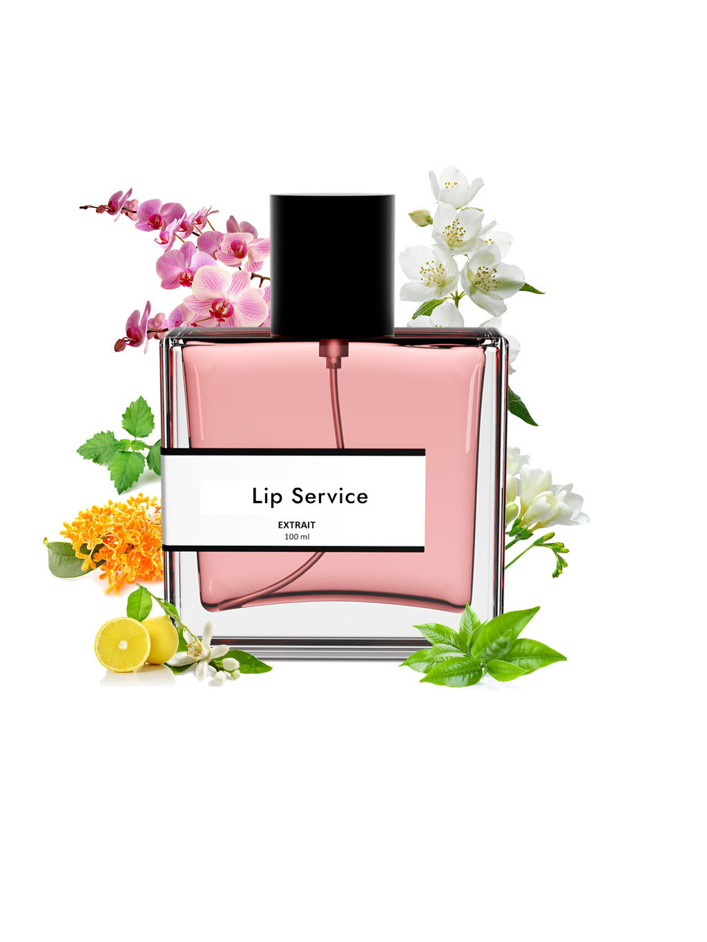 Lip service | Compare With Vict0r & R0lf flowerbomb