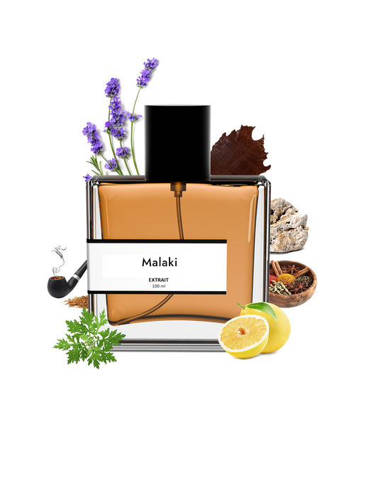 Malaki | Compare With Ch0pard Oud Malaki