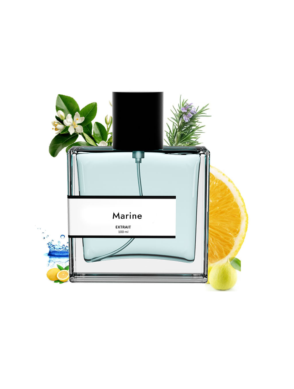 Marine | Compare with Bvlg@ri aqua homme marine