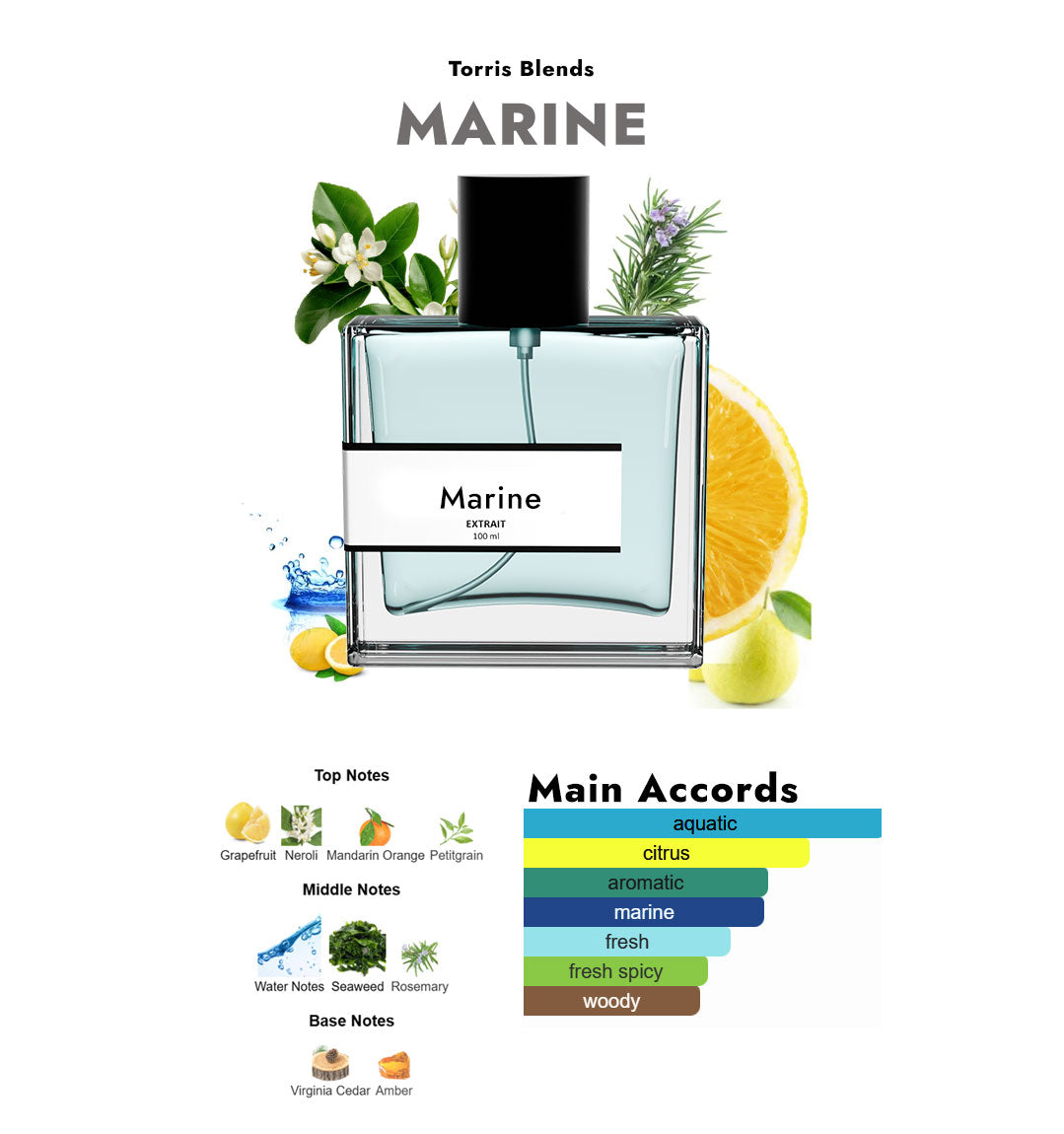 Marine | Compare with Bvlg@ri aqua homme marine