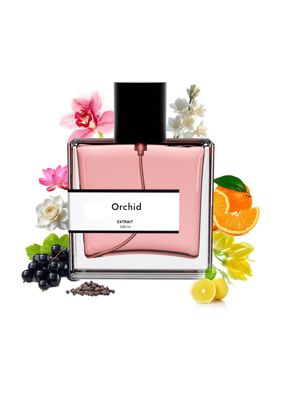 Orchid | Compare With T0m f0rd black orchid
