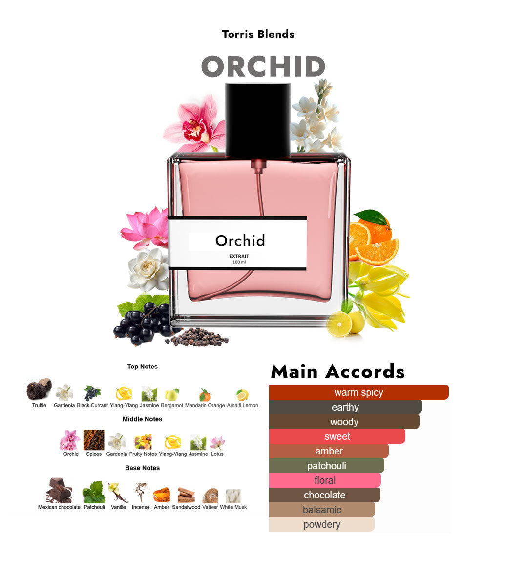 Orchid | Compare With T0m f0rd black orchid