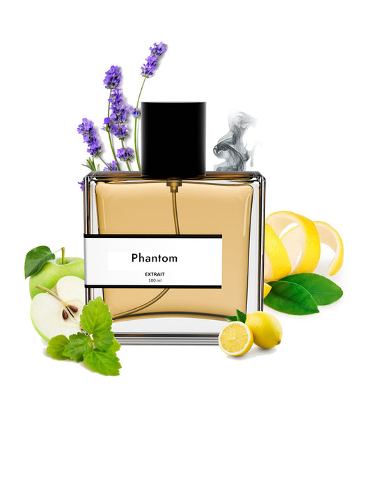 Phantom | Compare with P@co Rab@nne phantom