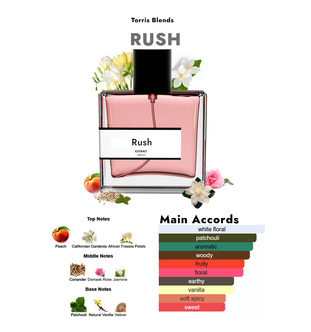 Rush | Compare With Gucci ru$h