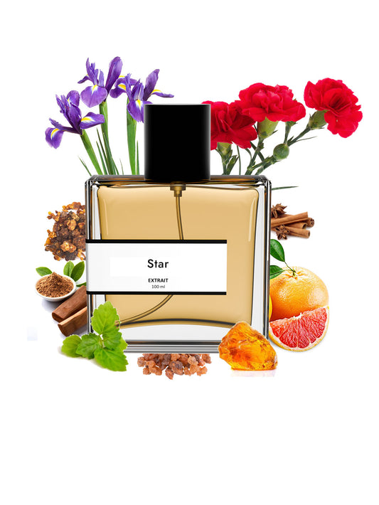 Star | Compare with Xerj0ff star musk