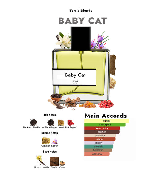 Baby cat | Compare with YSL Baby cat