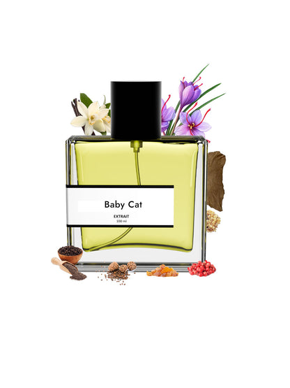 Baby cat | Compare with YSL Baby cat